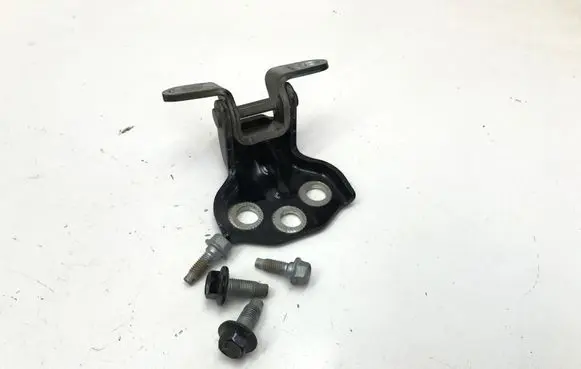 MG ZS Rear door lower hinge 50011522