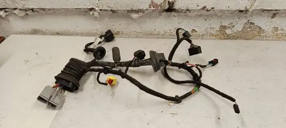 Bentley Flying Spur Front door wiring loom 4W2971120C