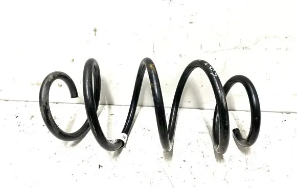 BMW X3 G01 Front coil spring 6884937