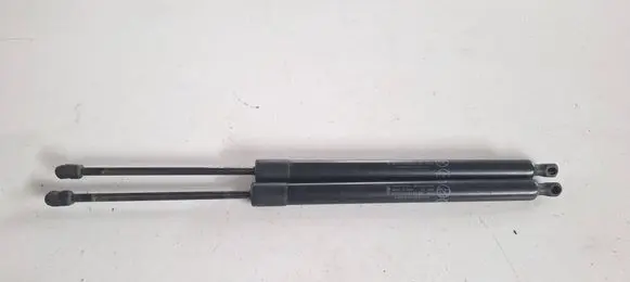 Ford Grand Tourneo Connect Tailgate/trunk strut/damper DT11V406A10AE