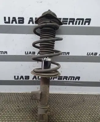 Hyundai ix35 Front shock absorber with coil spring