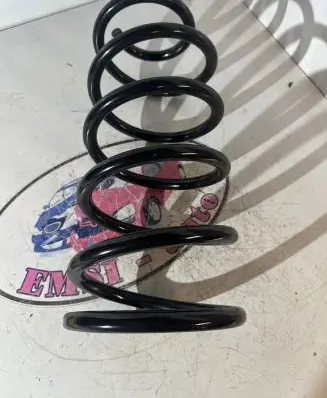 Toyota Land Cruiser (J120) Rear coil spring 482316B050