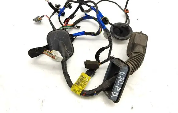 Hyundai Santa Fe Front door wiring loom 916102B170