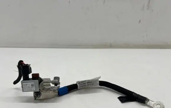 Fiat 600 Negative earth cable (battery) 9865329080