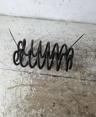 Volkswagen PASSAT B6 Rear coil spring