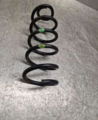 Rear coil spring