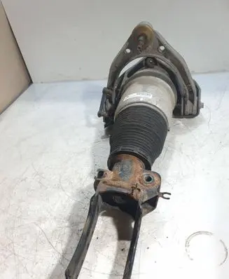 Porsche Cayenne (9PA) Front air suspension shock absorber 7L5412022BF 1514000418 167ATE043FE0EF3