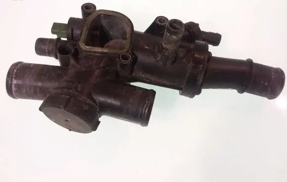 Thermostat/thermostat housing