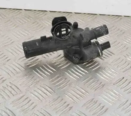 Nissan Qashqai Thermostat 8200954328B