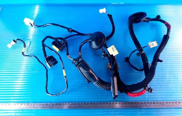 Hyundai Santa Fe Front door wiring loom 91981S1010 919323S000