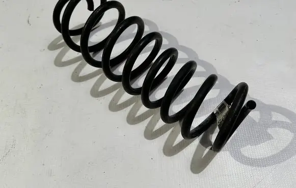 Ford Mustang V Rear coil spring BR33-5560-CB