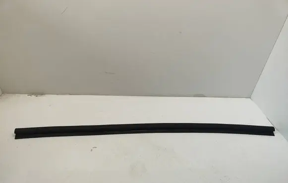 Dodge Challenger Rubber seal front coupe door 4575881AA
