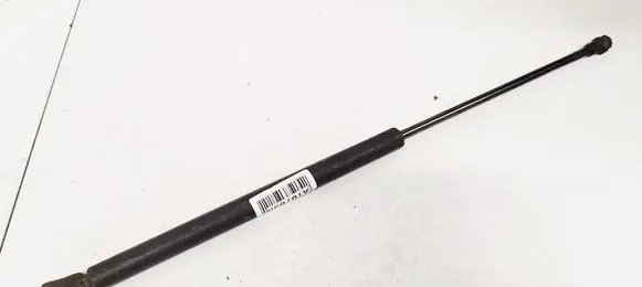 Tailgate/trunk strut/damper
