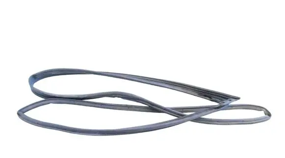 Infiniti Q50 Rubber seal front coupe door 
