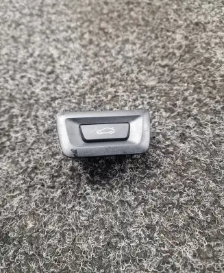 BMW X1 U11 Tailgate opening switch 5AIB2F9