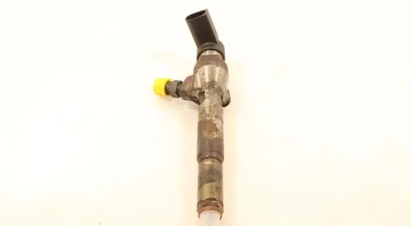 Renault Laguna III Fuel injector H8200294788