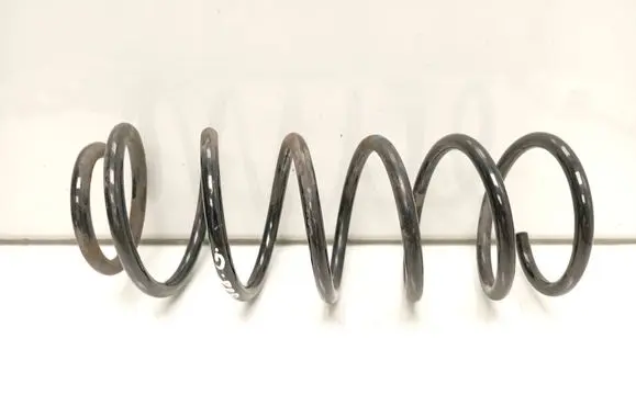 Rear coil spring