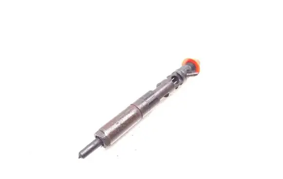 Nissan Note (E11) Fuel injector 166001137R 28232251 H8200421897