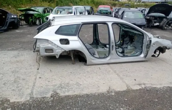Opel Insignia B Front quarter panel