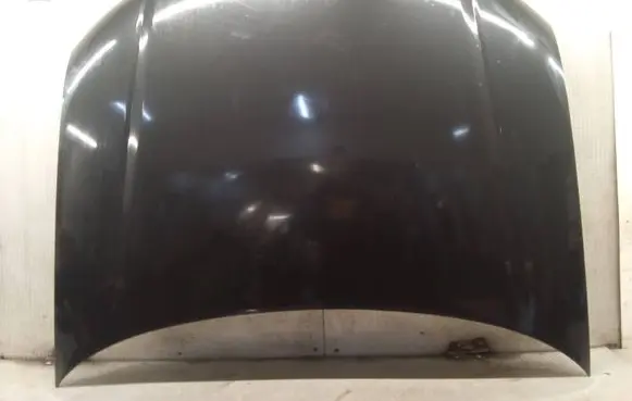 Engine bonnet/hood