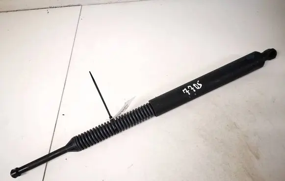 BMW 5 GT F07 Tailgate/trunk strut/damper 7207011