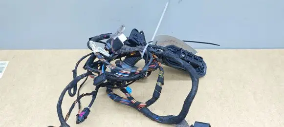 BMW X5 E70 Front door wiring loom 924207001