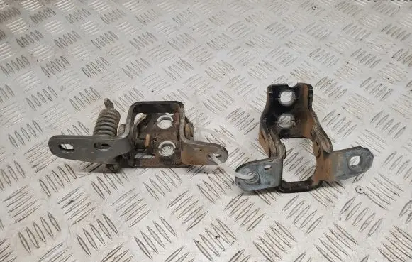 Dodge RAM Rear door hinge set 