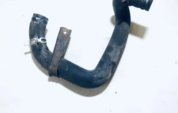 Citroen Berlingo Engine coolant pipe/hose