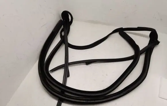 BMW 4 F32 F33 Rubber seal front coupe door 7279772