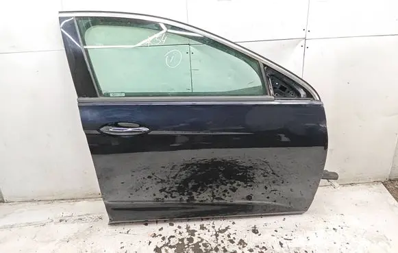 Opel Insignia B Front door DRZPPOPLINSB