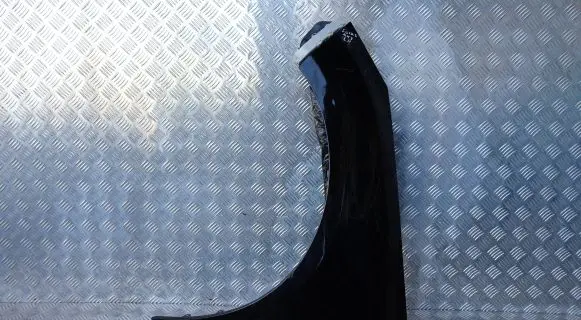Ford Focus Fender