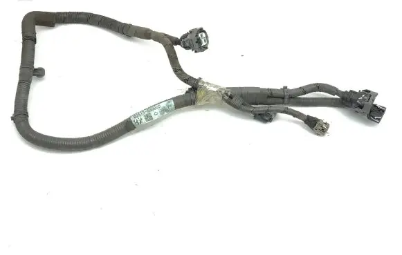 Other wiring loom
