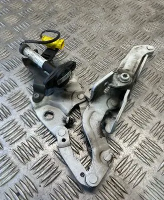 BMW 3 E92 E93 Engine bonnet/hood hinges 7290002 7289998