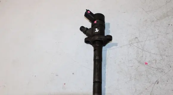 Citroen Jumpy Fuel injector 0445110239 606680