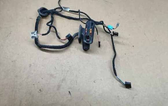 Rear door wiring loom
