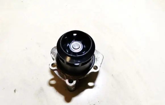 Skoda Fabia Mk1 (6Y) Water pump 1110121S