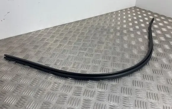 Peugeot Expert Rubber seal front door (on door) 