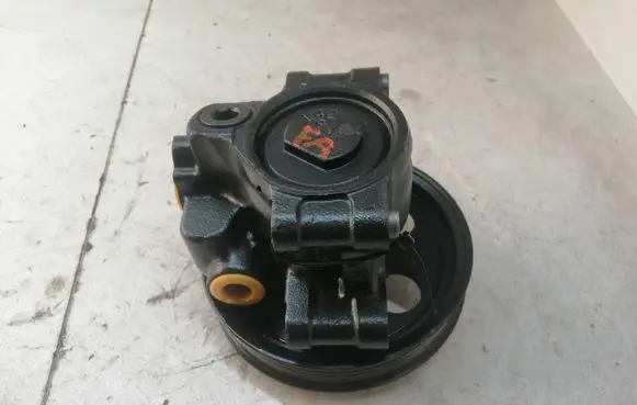 Ford Transit - Tourneo Connect Power steering pump 1S703A733AA 0450F01320034B