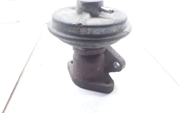 Opel Antara EGR valve