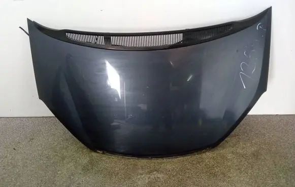 Engine bonnet/hood