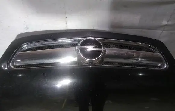 Opel Signum Front grill