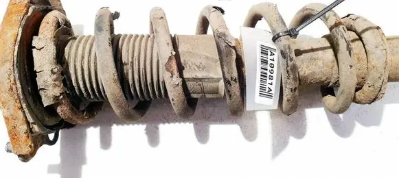 Toyota Corolla Verso AR10 Rear coil spring 