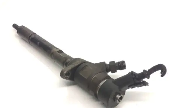 Volvo C30 Fuel injector 0445110259