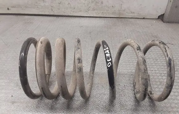 Rear coil spring