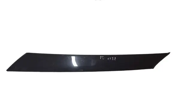 Front door trim (molding)
