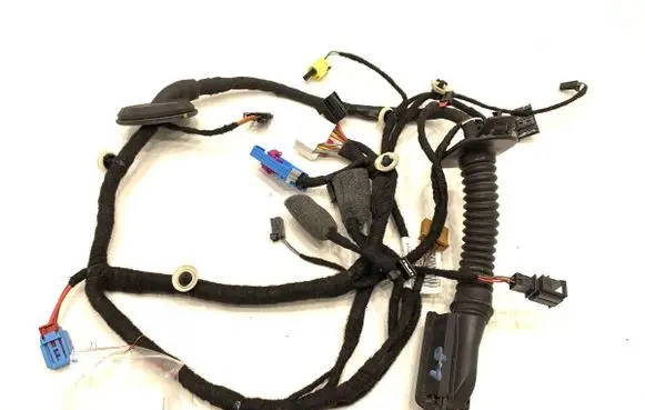 Front door wiring loom