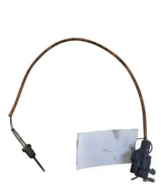 Exhaust gas temperature sensor