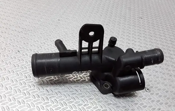 Thermostat/thermostat housing