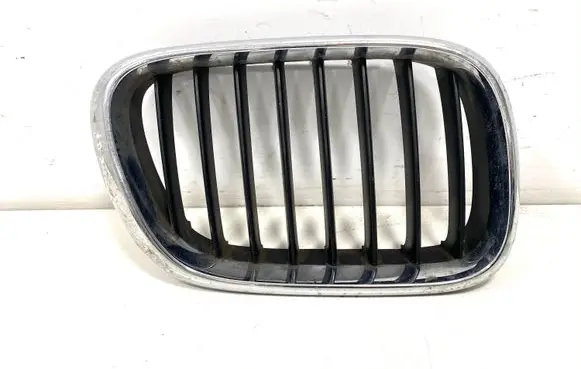 BMW X5 E53 Front bumper upper radiator grill 8247674
