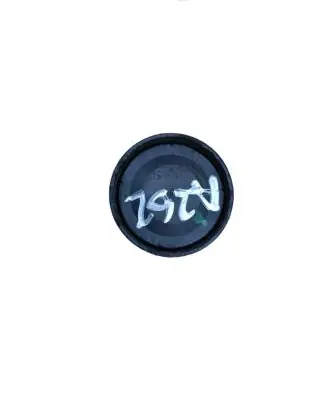 Mercedes-Benz R W251 Belt tensioner pulley 